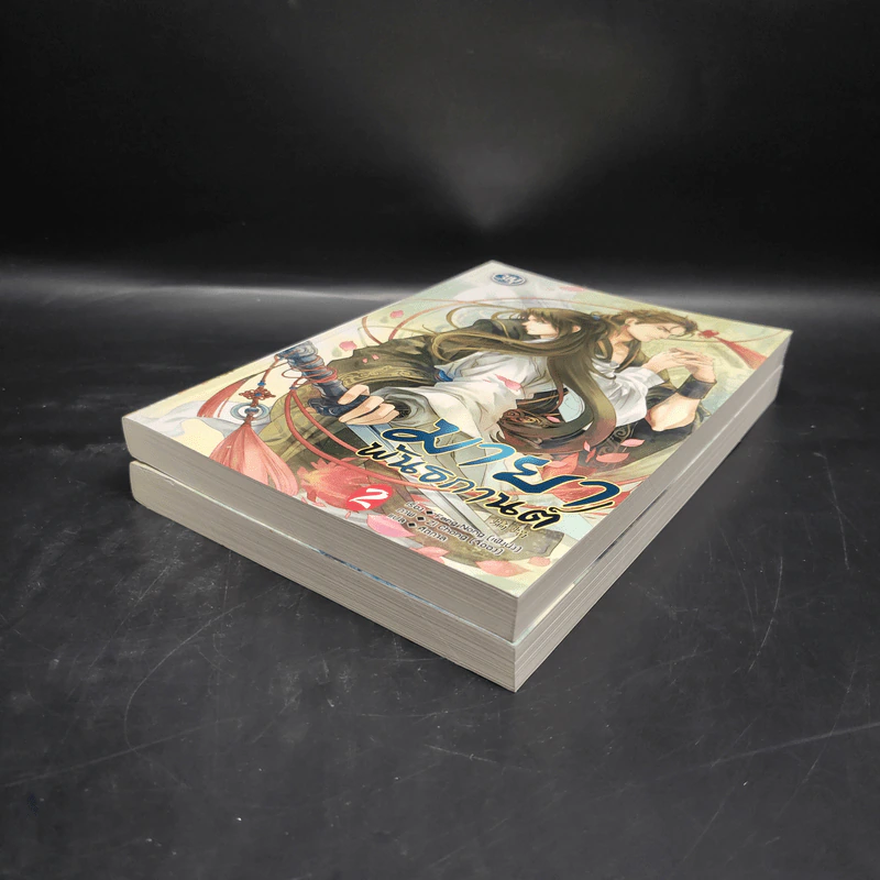 Box Set นิยายวาย มายาพันธกานต์ 2 เล่มจบ - Feng Nong (เฟิงน่ง) รูปที่ 7
