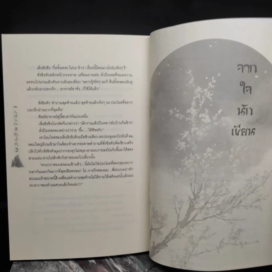 นิยายวาย ตัวร้ายอย่างข้า...จะหนีเอาตัวรอดยังไงดี 3 เล่มจบ - โม่เซียงถงซิ่ว รูปที่ 7