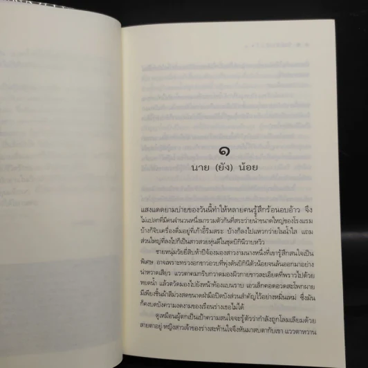 ปิ่นรักปักใจ 2 เล่มจบ - พายพิณ รูปที่ 6