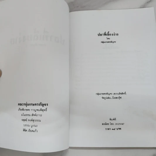 ปลาที่เลี้ยงง่าย - กลุ่มเกษตรสัญจร รูปที่ 4