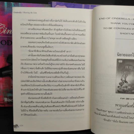 Cinderella ซินเดอเรลลา 3 เล่มจบ - BiscuitBus รูปที่ 8