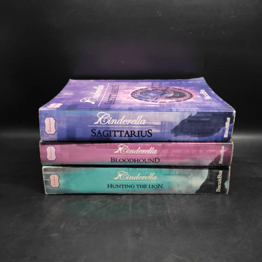 Cinderella ซินเดอเรลลา 3 เล่มจบ - BiscuitBus รูปที่ 2