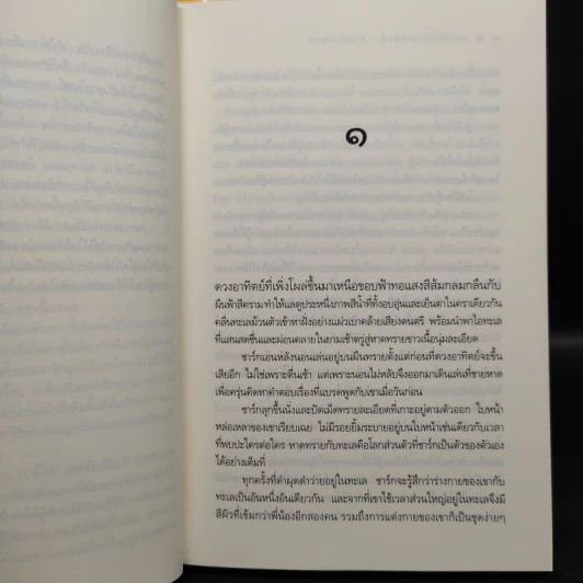 ชุด แวมไพร์บราเทอรส์ 3 เล่ม เจ้าเวหา เจ้ามหาสมุทร เจ้าพสุธา รูปที่ 6
