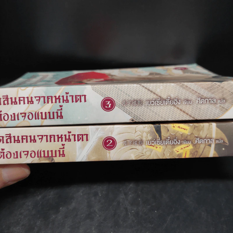 นิยายวาย ตัดสินคนจากหน้าตาก็ต้องเจอแบบนี้ เล่ม 2-3 - เย่ว์เซี่ยเตี๋ยอิ่ง (Yue Xia Die Ying) รูปที่ 6