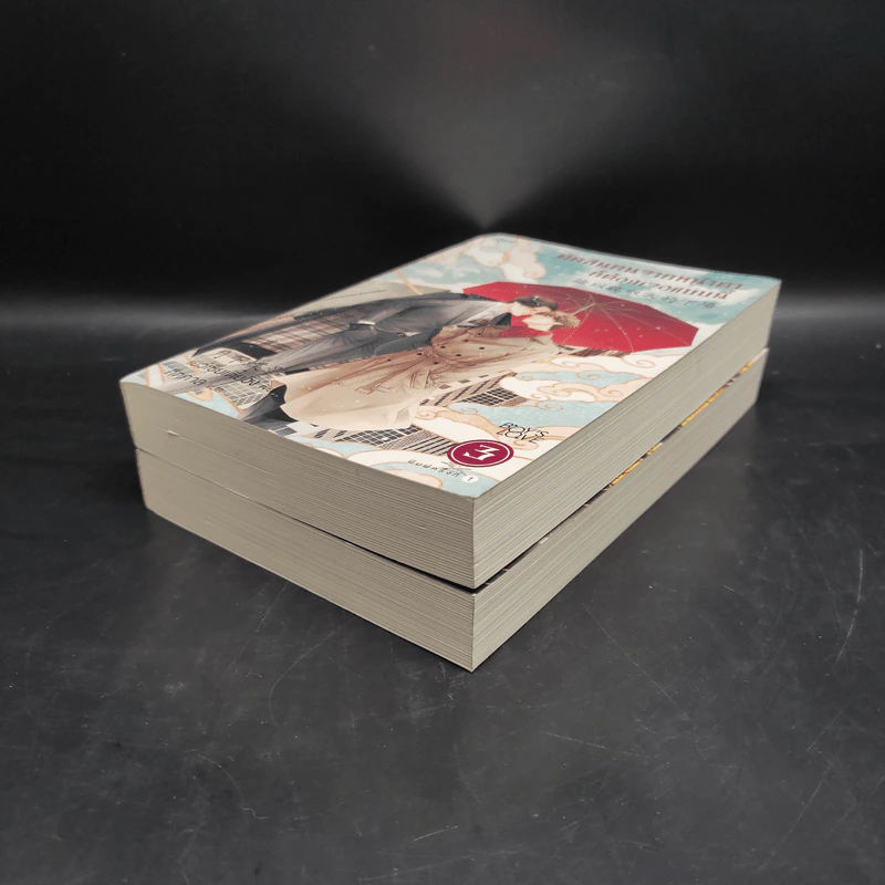 นิยายวาย ตัดสินคนจากหน้าตาก็ต้องเจอแบบนี้ เล่ม 2-3 - เย่ว์เซี่ยเตี๋ยอิ่ง (Yue Xia Die Ying) รูปที่ 4