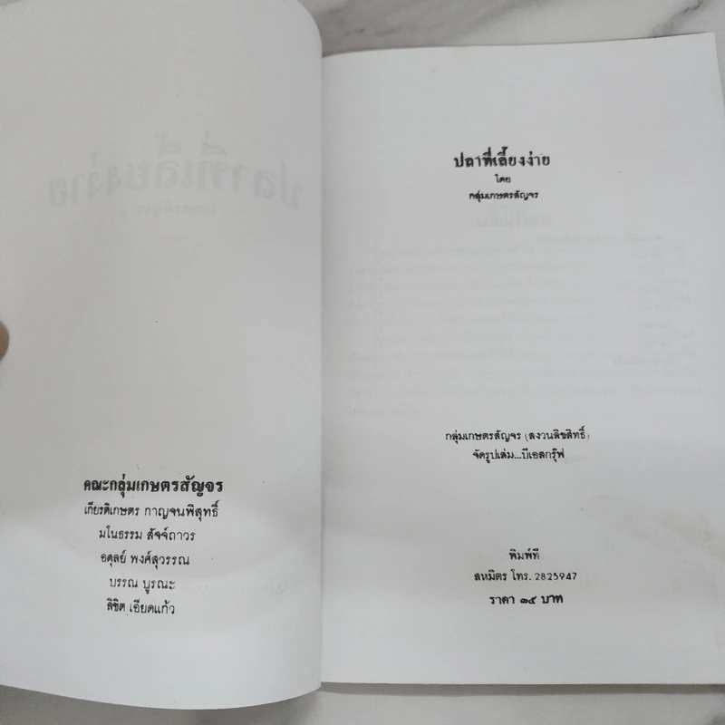 ปลาที่เลี้ยงง่าย - กลุ่มเกษตรสัญจร รูปที่ 4