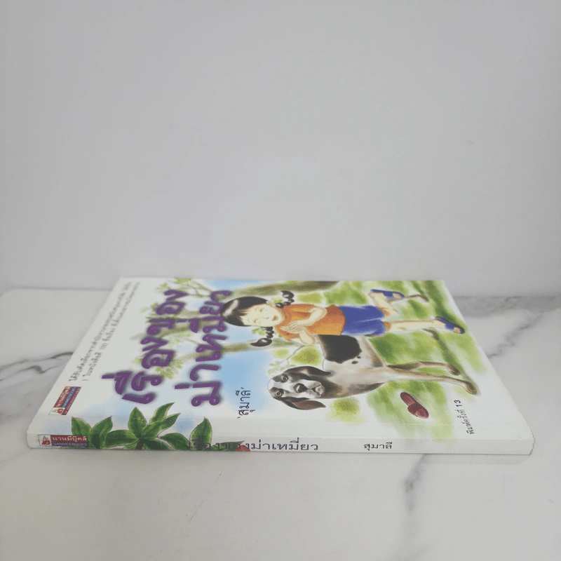 เรื่องของม่าเหมี่ยว - สุมาลี รูปที่ 2