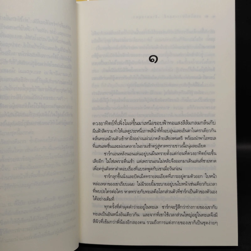 ชุด แวมไพร์บราเทอรส์ 3 เล่ม เจ้าเวหา เจ้ามหาสมุทร เจ้าพสุธา รูปที่ 6