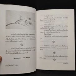 น้ำมิตร อิสตรี วีรบุรุษ - โก้วเล้ง, จันทร์เสี้ยวเดียวดาย รูปที่ 6