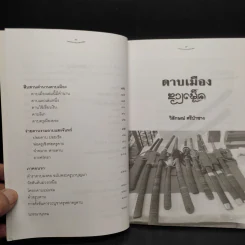 ดาบเมือง - วิลักษณ์ ศรีป่าซาง รูปที่ 7