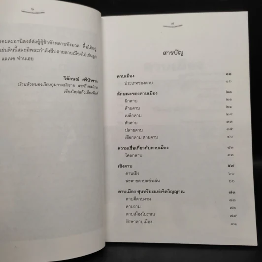 ดาบเมือง - วิลักษณ์ ศรีป่าซาง รูปที่ 6