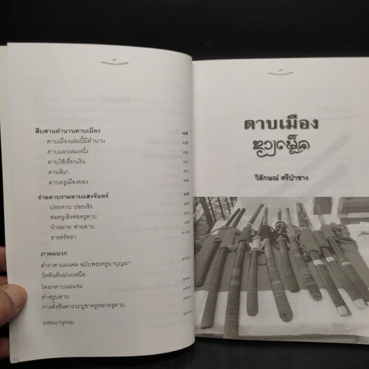 ดาบเมือง - วิลักษณ์ ศรีป่าซาง รูปที่ 7