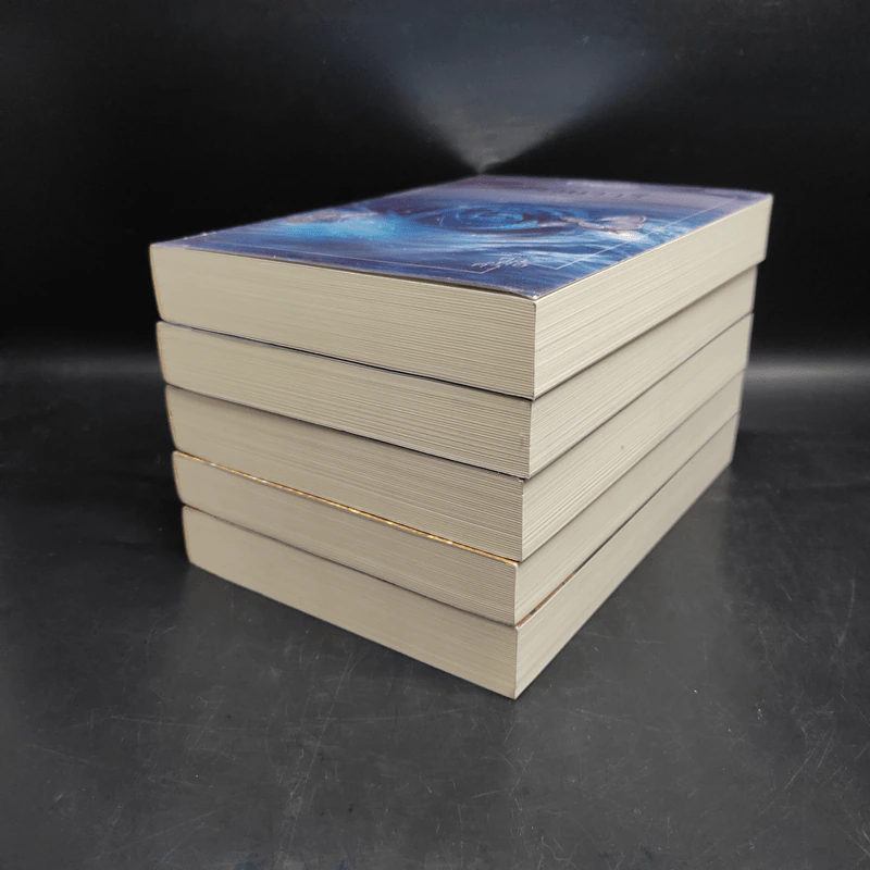 Box Set นิยายชุด 5 ปรารถนา ได้แก่ กรงพสุธา,ทองพญามาร,พันธะสีเพลิง,ลมอำพราง,วังวนวารี รูปที่ 6