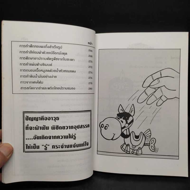 สิ่งประดิษฐ์กิจกรรมโครงงานทางวิทยาศาสตร์ รูปที่ 9