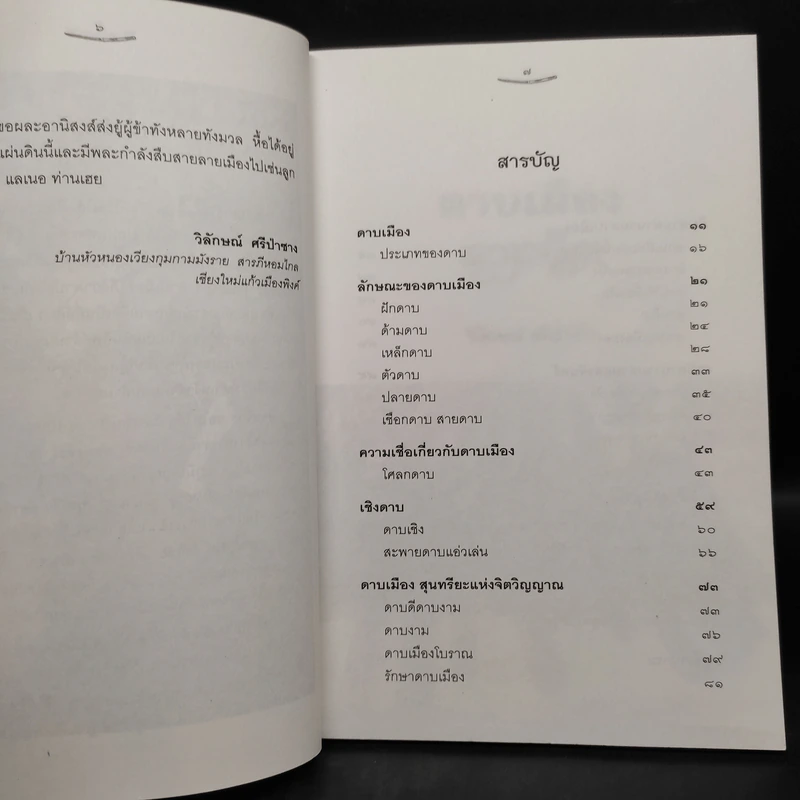 ดาบเมือง - วิลักษณ์ ศรีป่าซาง รูปที่ 6