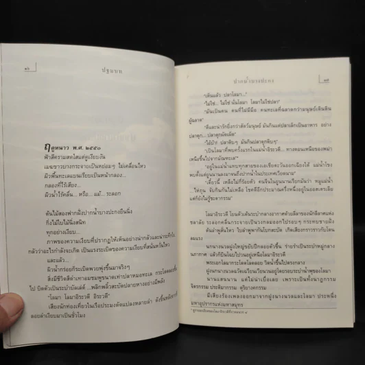 นางนวลสิบสองปันนา โลมาอิระวดี - สมควร กวียะ รูปที่ 7