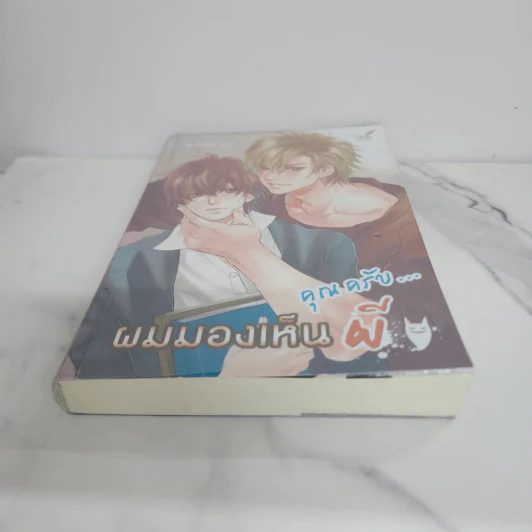 นิยายวาย คุณครับ...ผมมองเห็นผี - Violet Rain รูปที่ 5