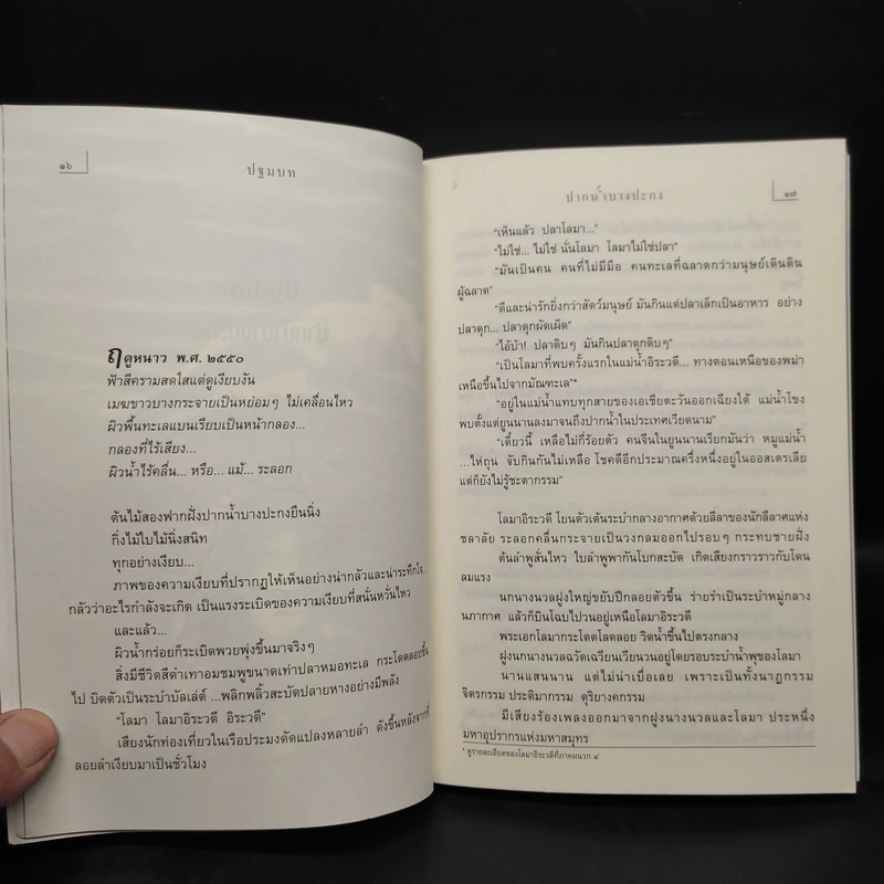 นางนวลสิบสองปันนา โลมาอิระวดี - สมควร กวียะ รูปที่ 7