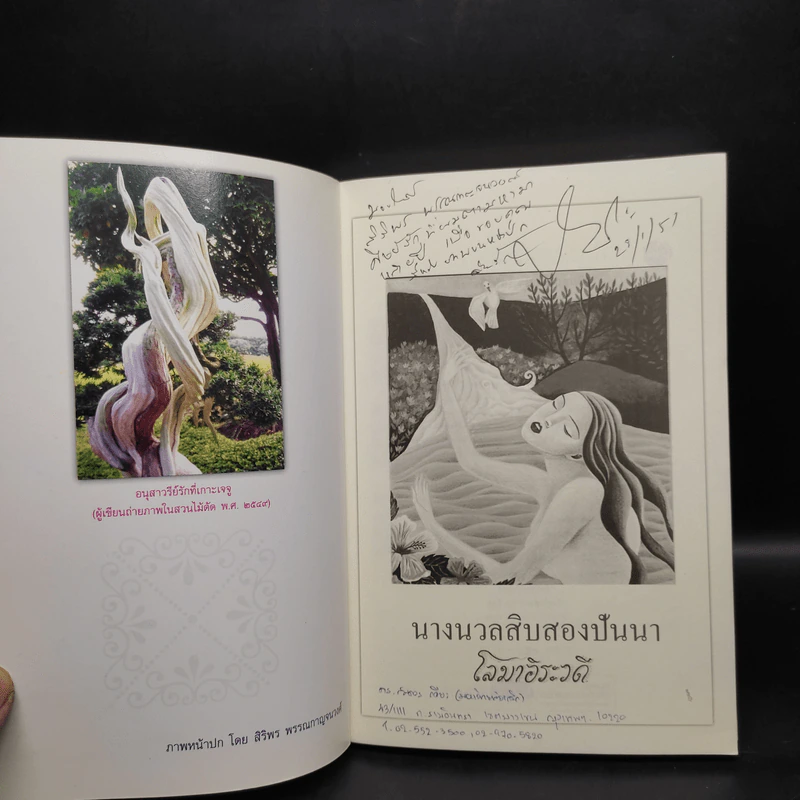 นางนวลสิบสองปันนา โลมาอิระวดี - สมควร กวียะ รูปที่ 5