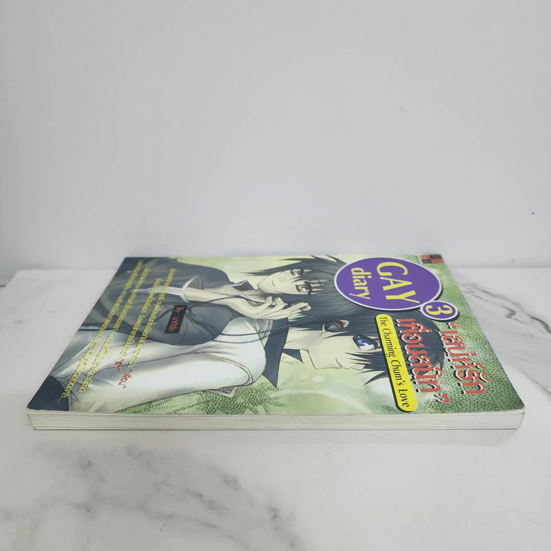 นิยายวาย Gay Diary 3 : เสน่ห์รักเพื่อนสนิท  - มากิจัง รูปที่ 3