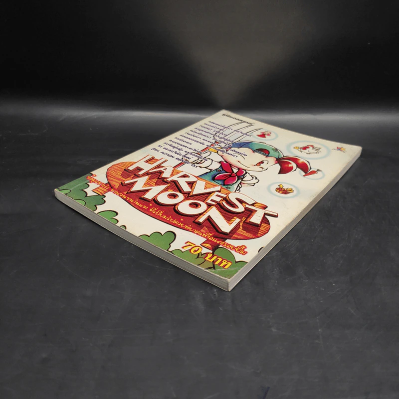 คู่มือเฉลยเกมส์ Harvest Moon รูปที่ 4
