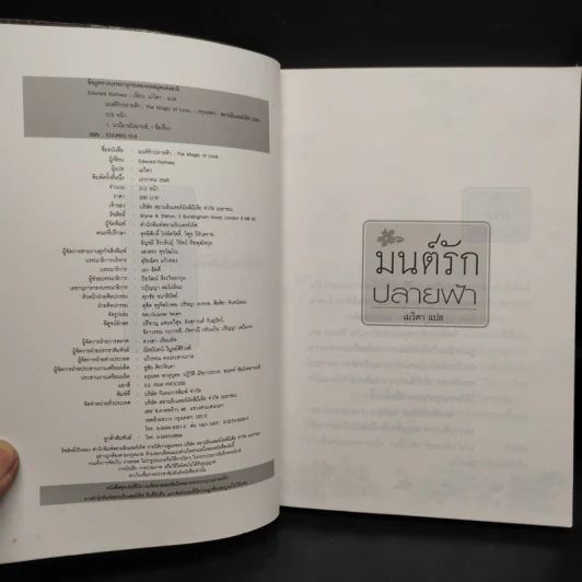 The Magic of Love มนต์รักปลายฟ้า - Edward Ramsey รูปที่ 5