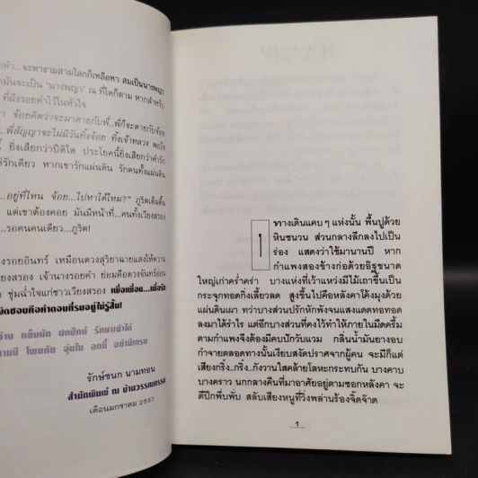 โสมส่องแสง 2 เล่มจบ - โรสลาเรน รูปที่ 6