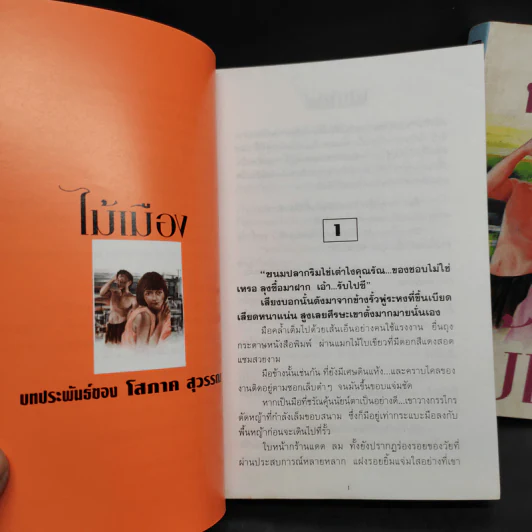ไม้เมือง 2 เล่มจบ - โสภาค สุวรรณ รูปที่ 7