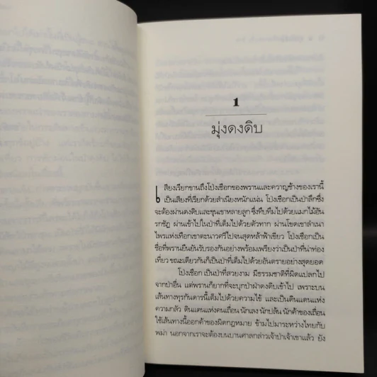 ป่าโป่งเชือก - ชาลี เอี่ยมกระสินธุ์ รูปที่ 6