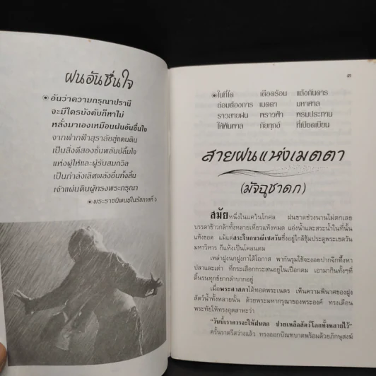 เมตตาพุทธนิยม - ณวมพุทธ รูปที่ 6