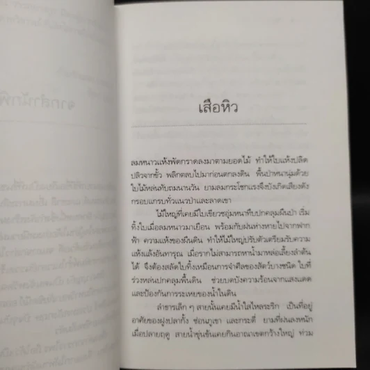 เรื่องเล่าจากราวไพร - วัธนา บุญยัง รูปที่ 6