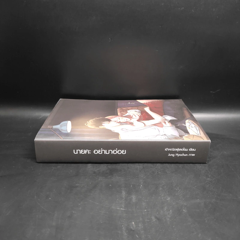 Box Set นายคะอย่ามาอ่อย - เจ้าหญิงผู้เลอโฉม รูปที่ 6