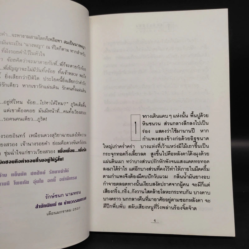 โสมส่องแสง 2 เล่มจบ - โรสลาเรน รูปที่ 6