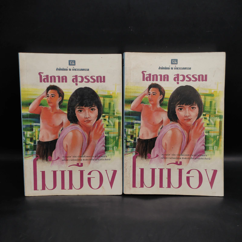 ไม้เมือง 2 เล่มจบ - โสภาค สุวรรณ รูปที่ 1