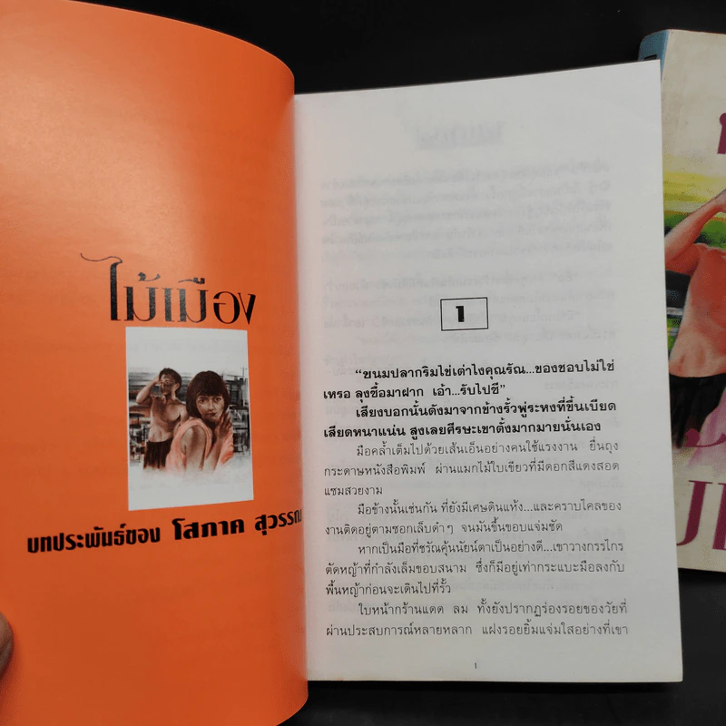 ไม้เมือง 2 เล่มจบ - โสภาค สุวรรณ รูปที่ 7