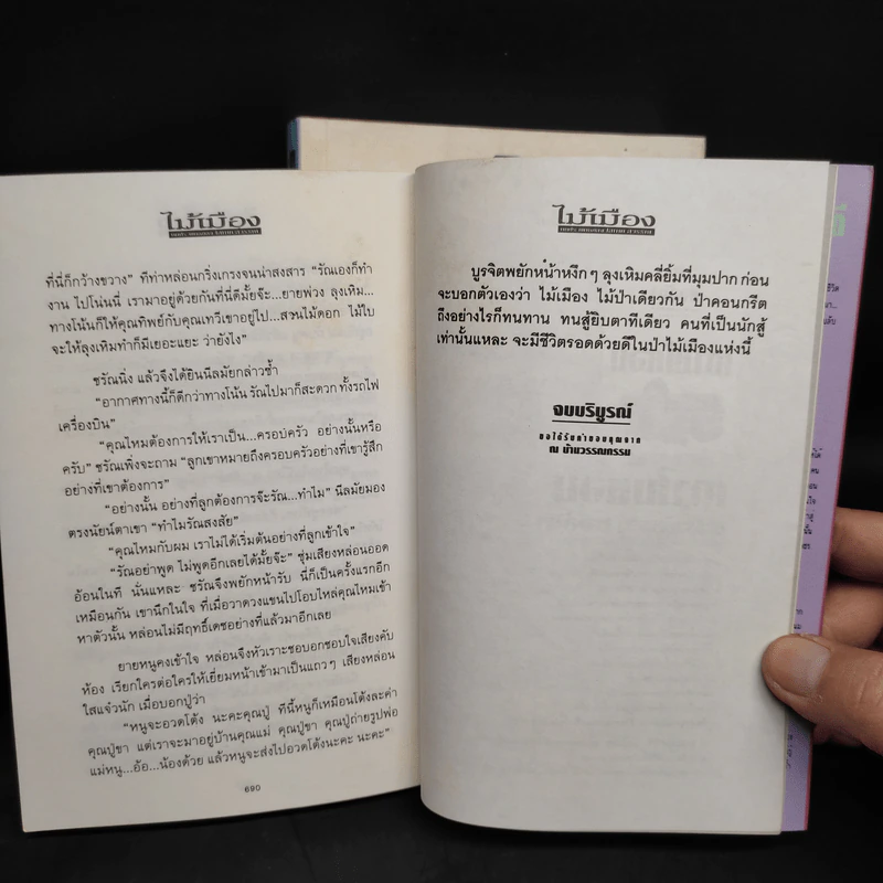 ไม้เมือง 2 เล่มจบ - โสภาค สุวรรณ รูปที่ 8