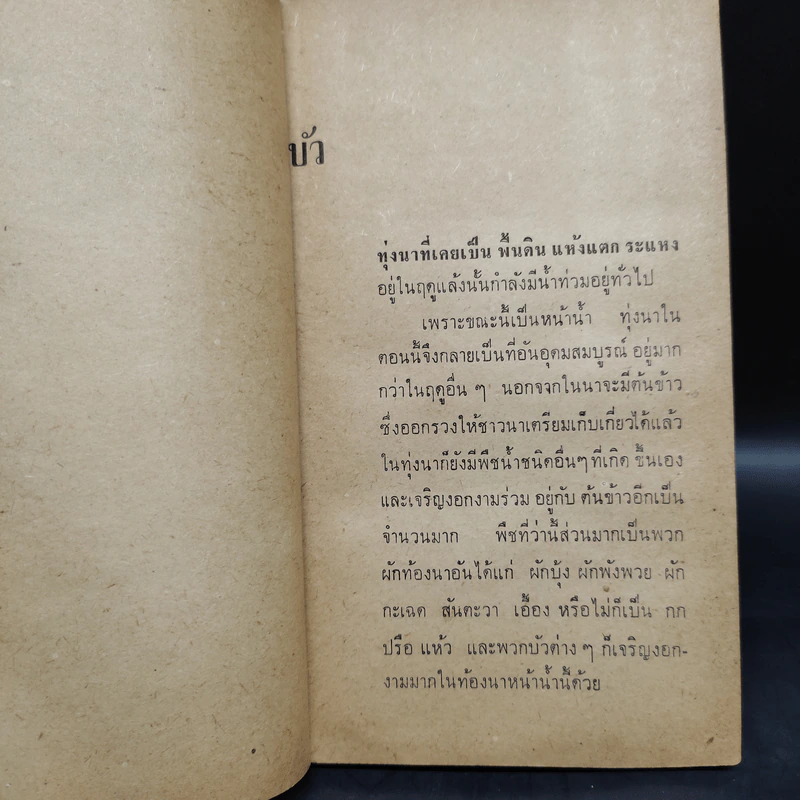 บ้านไร่ริมดง - วิชัย อภัยสุวรรณ รูปที่ 6