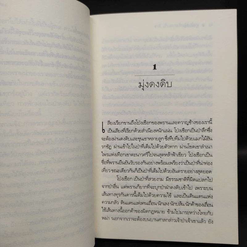 ป่าโป่งเชือก - ชาลี เอี่ยมกระสินธุ์ รูปที่ 6