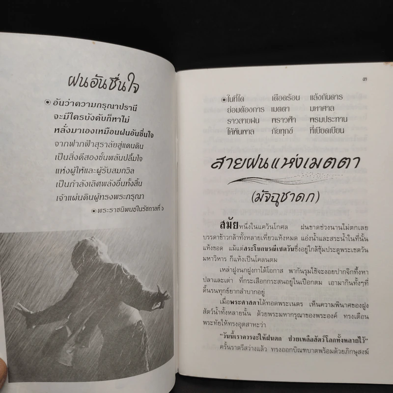 เมตตาพุทธนิยม - ณวมพุทธ รูปที่ 6