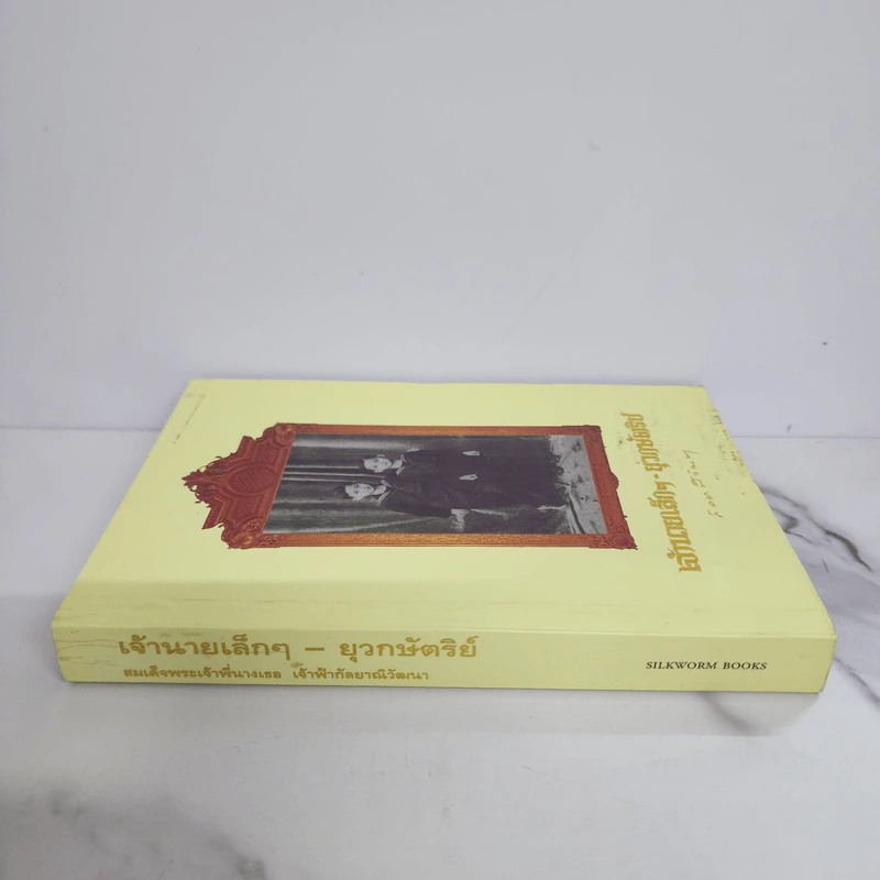 เจ้านายเล็กๆ ยุวกษัตริย์ - กัลยาณิวัฒนา รูปที่ 2