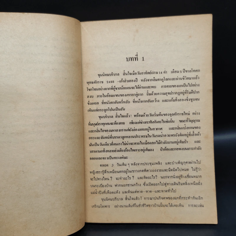 ทุ่งมหาราช - เรียมเอง รูปที่ 6