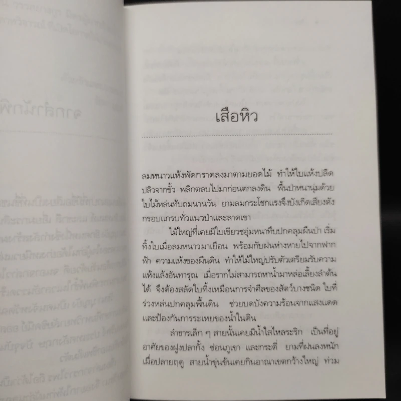 เรื่องเล่าจากราวไพร - วัธนา บุญยัง รูปที่ 6