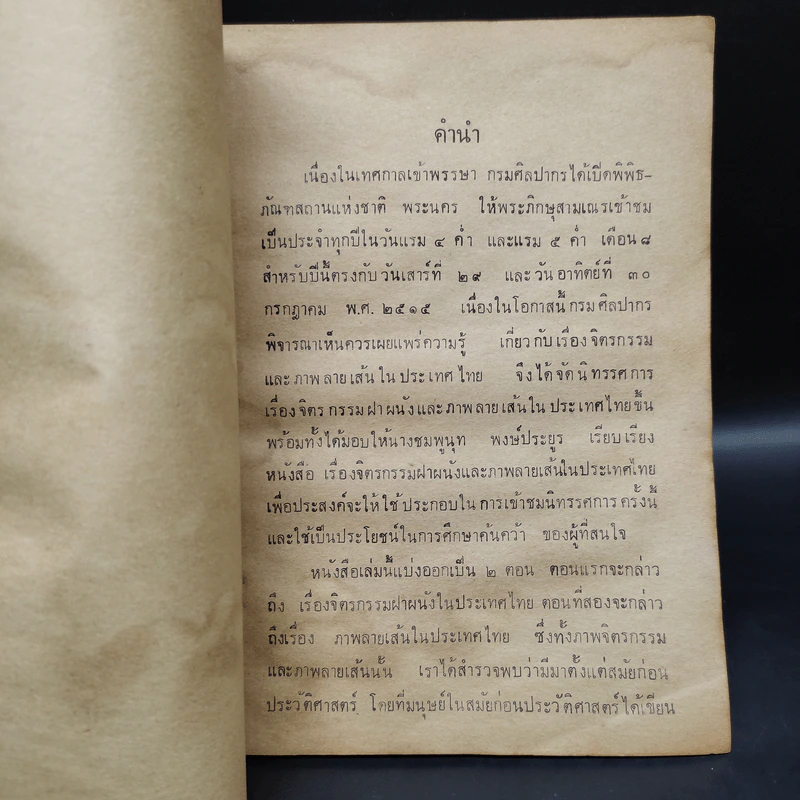 จิตรกรรมและภาพลายเส้นในประเทศไทย พ.ศ.2515 - ชมพูนุท พงษ์ประยูร รูปที่ 6