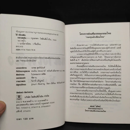 กลางเพลิง - ไม้เมืองเดิม รูปที่ 5