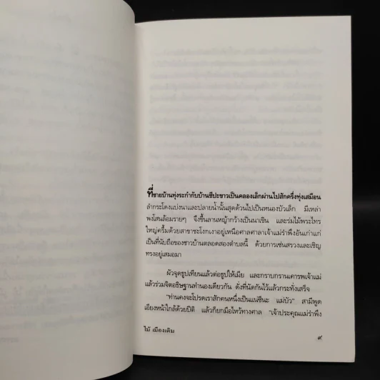 กลางเพลิง - ไม้เมืองเดิม รูปที่ 6