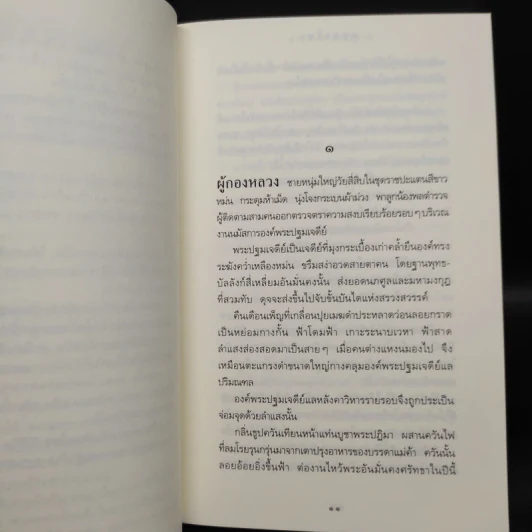 หุบพงไพร - ประมวล ดาระดาษ รูปที่ 6