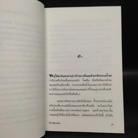 โป๊ะล้ม - ไม้ เมืองเดิม รูปที่ 6