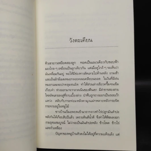 ผีในป่า - วัธนา บุญยัง รูปที่ 6