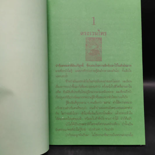 ตระเวนไพร - สังคีต จันทนะโพธิ รูปที่ 6