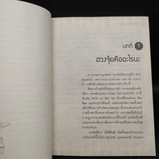 ฮวงจุ้ยดีงานนี้มีแต่รุ่ง - อ.ช้าง ทศพร ศรีตุลา รูปที่ 6